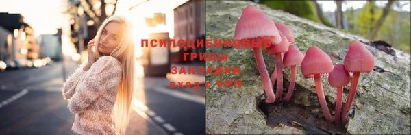 спайс Алексеевка
