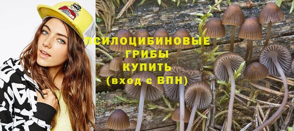 спайс Алексеевка
